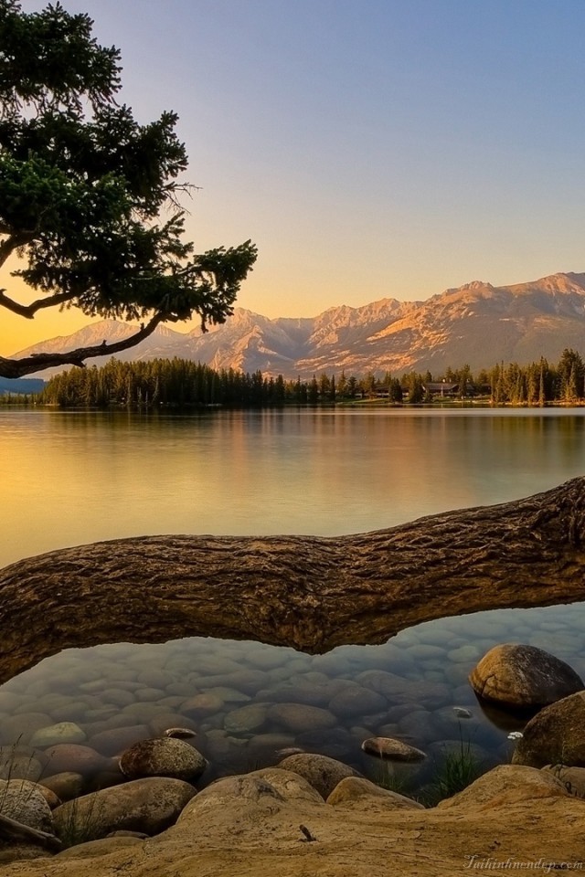 Hình nền iPhone cực đẹp