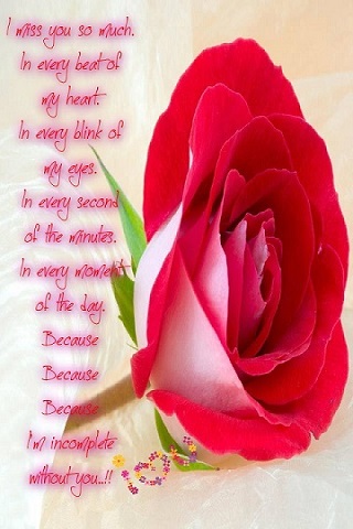 Hình nền tình yêu chuẩn 240x320 cho điện thoại