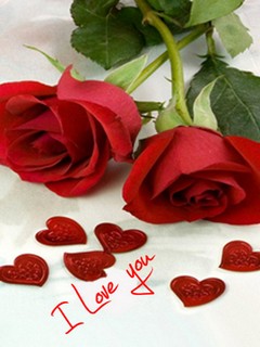 Hình nền tình yêu chuẩn 240x320 cho điện thoại