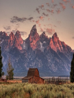 Hình nền 240x320 đẹp